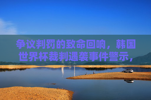 争议判罚的致命回响,韩国世界杯裁判遇袭事件警示,韩国世界杯裁判遇袭,争议判罚的致命警示