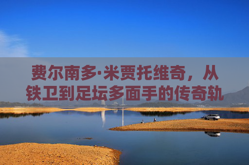费尔南多·米贾托维奇,从铁卫到足坛多面手的传奇轨迹与水平解析,费尔南多·米贾托维奇,铁卫到多面手的传奇轨迹与水平解析