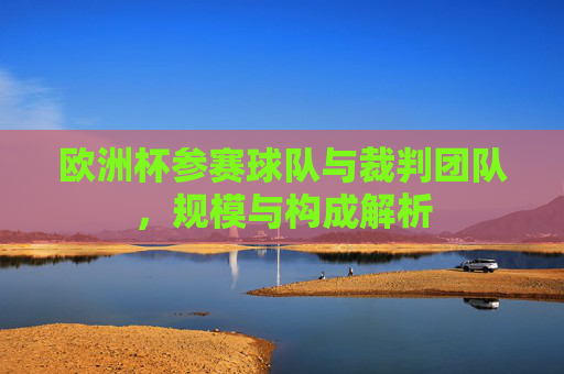 欧洲杯参赛球队与裁判团队,规模与构成解析