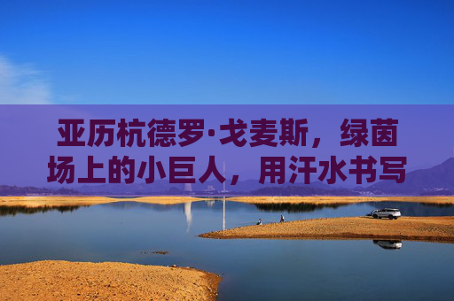 亚历杭德罗·戈麦斯,绿茵场上的小巨人,用汗水书写中场传奇,小巨人戈麦斯,绿茵场上的中场传奇