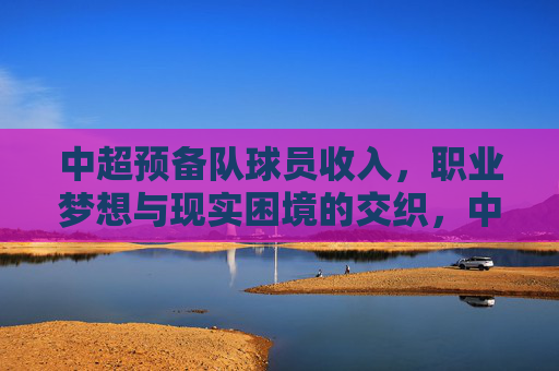 中超预备队球员收入,职业梦想与现实困境的交织,中超预备队球员收入,职业梦想与现实困境的交织