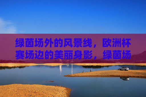 绿茵场外的风景线,欧洲杯赛场边的美丽身影,绿茵场外风景线,欧洲杯赛场边的美丽身影