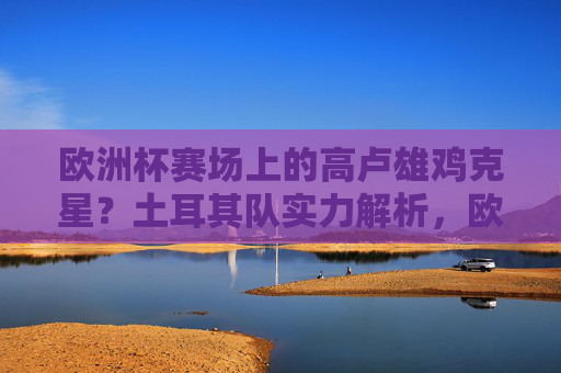 欧洲杯赛场上的高卢雄鸡克星?土耳其队实力解析,欧洲杯高卢雄鸡克星?土耳其队实力解析