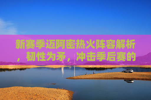 新赛季迈阿密热火阵容解析，韧性为矛，冲击季后赛的铁血军团，迈阿密热火的铁血之师，新赛季阵容解析与季后赛冲击