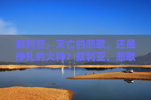 叙利亚,灭亡的悲歌,还是挣扎的火种?叙利亚,悲歌未绝,火种犹存