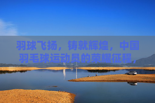 羽球飞扬，铸就辉煌，中国羽毛球运动员的荣耀征程，中国羽球荣耀飞扬铸辉煌