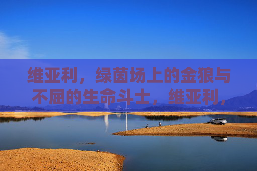 维亚利,绿茵场上的金狼与不屈的生命斗士,维亚利,绿茵金狼与不屈生命斗士