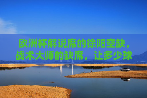 欧洲杯解说席的徐阳空缺,战术大师的缺席,让多少球迷少了战术教科书?欧洲杯徐阳空缺,球迷痛失战术教科书