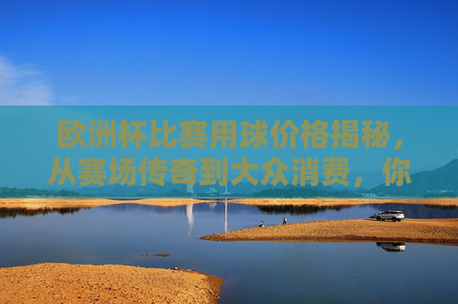 欧洲杯比赛用球价格揭秘,从赛场传奇到大众消费,你了解多少?欧洲杯比赛用球价格,从赛场传奇到大众消费揭秘