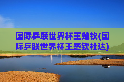国际乒联世界杯王楚钦(国际乒联世界杯王楚钦杜达)