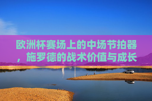 欧洲杯赛场上的中场节拍器，施罗德的战术价值与成长启示，欧洲杯中场节拍器施罗德，战术价值与成长启示