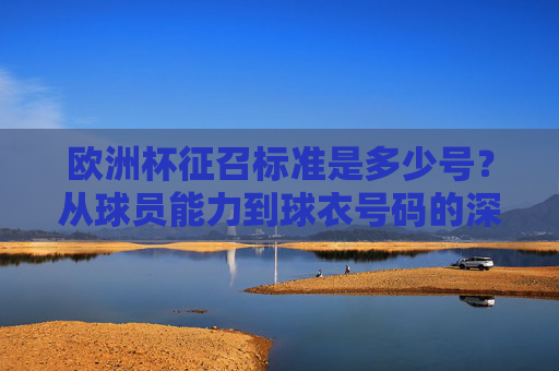 欧洲杯征召标准是多少号？从球员能力到球衣号码的深层解读，欧洲杯征召标准，从球员能力到球衣号码的深层解读