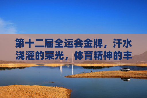 第十二届全运会金牌，汗水浇灌的荣光，体育精神的丰碑，第十二届全运会金牌，汗水浇灌的荣光丰碑