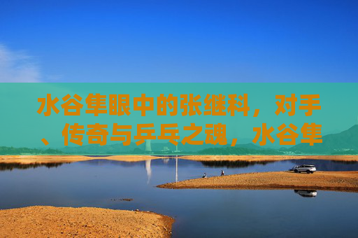 水谷隼眼中的张继科，对手、传奇与乒乓之魂，水谷隼眼中的张继科，对手、传奇与乒乓之魂