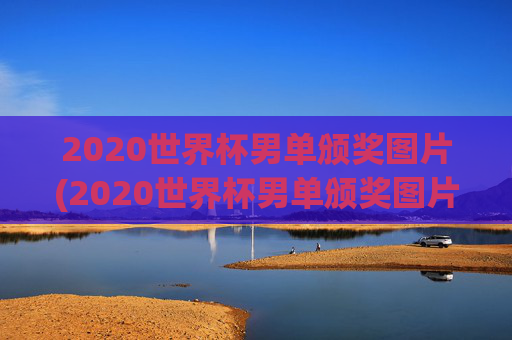 2020世界杯男单颁奖图片(2020世界杯男单颁奖图片大全)