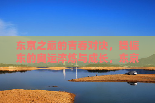 东京之巅的青春对决,樊振东的奥运淬炼与成长,东京之巅,樊振东的青春淬炼与成长