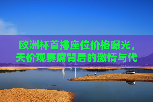 欧洲杯首排座位价格曝光,天价观赛席背后的激情与代价,欧洲杯首排天价观赛席,激情背后的代价