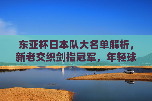 东亚杯日本队大名单解析，新老交织剑指冠军，年轻球员挑大梁，东亚杯日本队大名单，新老交织剑指冠军，小将挑大梁
