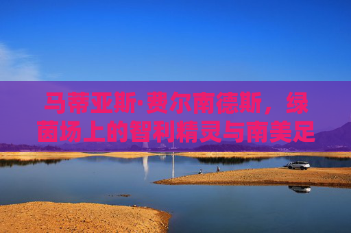 马蒂亚斯·费尔南德斯,绿茵场上的智利精灵与南美足球的骄傲,智利精灵,南美骄傲,马蒂亚斯·费尔南德斯