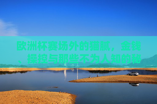 欧洲杯赛场外的猫腻,金钱、操控与那些不为人知的秘密?欧洲杯赛场外的暗涌,金钱操控与不为人知的秘密