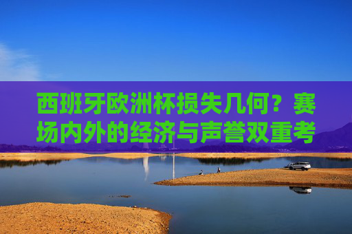 西班牙欧洲杯损失几何?赛场内外的经济与声誉双重考量,西班牙欧洲杯,经济与声誉的双重损失