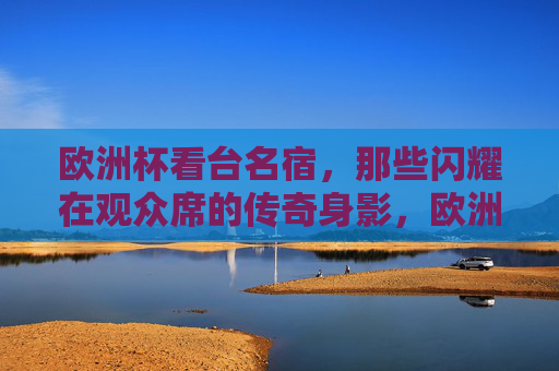 欧洲杯看台名宿,那些闪耀在观众席的传奇身影,欧洲杯看台名宿,闪耀的传奇身影