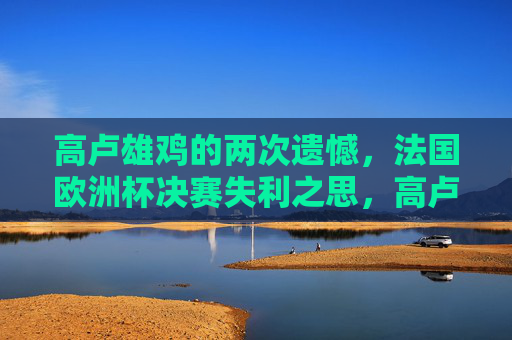 高卢雄鸡的两次遗憾,法国欧洲杯决赛失利之思,高卢雄鸡两度饮恨,欧洲杯决赛失利反思