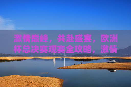 激情巅峰，共赴盛宴，欧洲杯总决赛观赛全攻略，激情盛宴，欧洲杯总决赛观赛全攻略