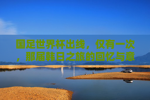 国足世界杯出线,仅有一次,那届韩日之旅的回忆与意义,国足唯一一次世界杯出线,韩日之旅的回忆与意义