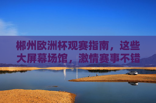 郴州欧洲杯观赛指南,这些大屏幕场馆,激情赛事不错过!郴州欧洲杯观赛指南,大屏幕场馆激情赛事不错过