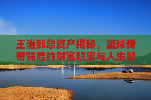 王治郅总资产揭秘,篮球传奇背后的财富积累与人生智慧,王治郅,篮球传奇的财富积累与人生智慧