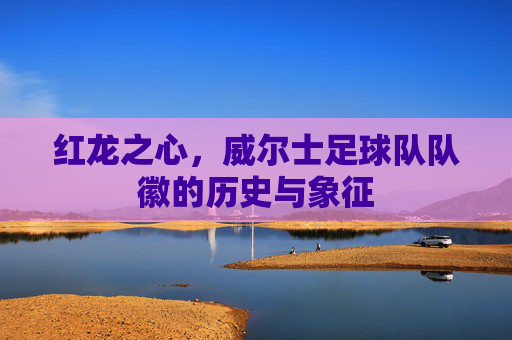 红龙之心,威尔士足球队队徽的历史与象征