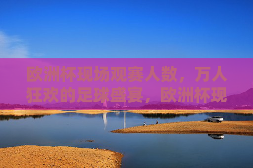 欧洲杯现场观赛人数，万人狂欢的足球盛宴，欧洲杯现场，万人狂欢的足球盛宴