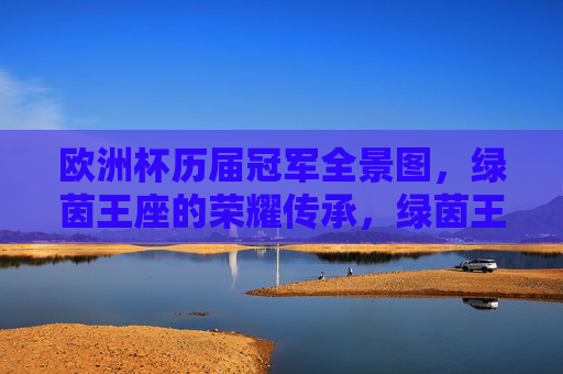 欧洲杯历届冠军全景图，绿茵王座的荣耀传承，绿茵王座，欧洲杯冠军的荣耀全景传承