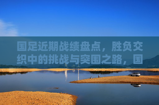 国足近期战绩盘点，胜负交织中的挑战与突围之路，国足近期战绩，胜负交织中的挑战与突围