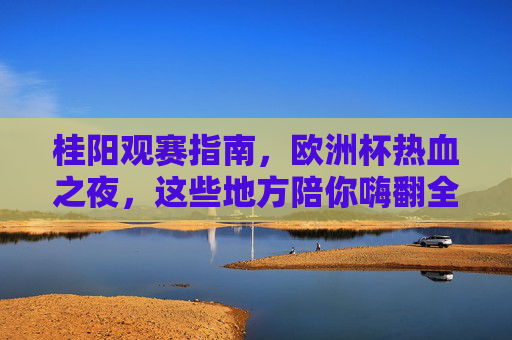 桂阳观赛指南，欧洲杯热血之夜，这些地方陪你嗨翻全场！桂阳欧洲杯观赛指南，热血之夜，嗨翻全场！