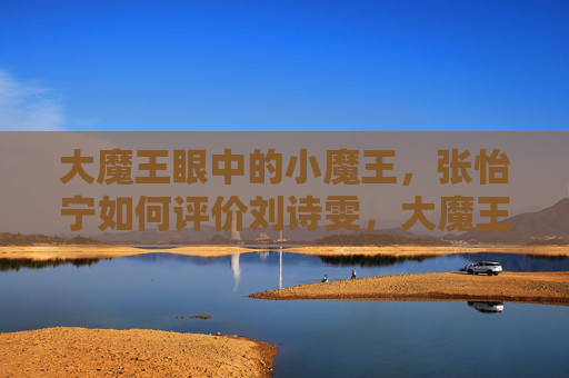 大魔王眼中的小魔王，张怡宁如何评价刘诗雯，大魔王眼中的小魔王，张怡宁谈刘诗雯