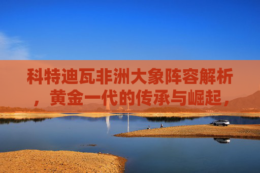 科特迪瓦非洲大象阵容解析,黄金一代的传承与崛起,科特迪瓦非洲大象阵容,黄金一代的传承与崛起