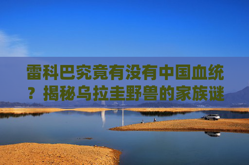 雷科巴究竟有没有中国血统?揭秘乌拉圭野兽的家族谜团,雷科巴有无中国血统?揭秘乌拉圭野兽的家族谜团