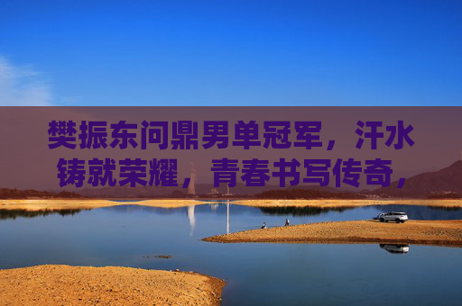 樊振东问鼎男单冠军，汗水铸就荣耀，青春书写传奇，樊振东问鼎男单冠军，汗水铸就荣耀，青春书写传奇