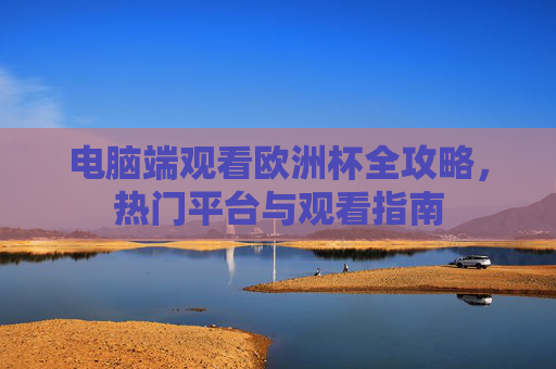 电脑端观看欧洲杯全攻略,热门平台与观看指南