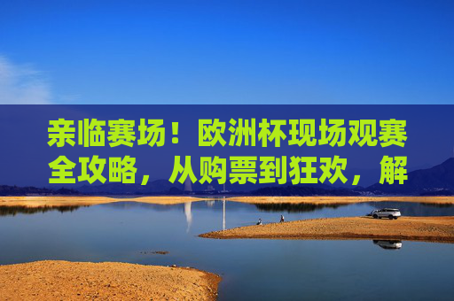 亲临赛场！欧洲杯现场观赛全攻略，从购票到狂欢，解锁沉浸式足球盛宴，欧洲杯现场观赛全攻略，从购票到狂欢，解锁沉浸式足球盛宴