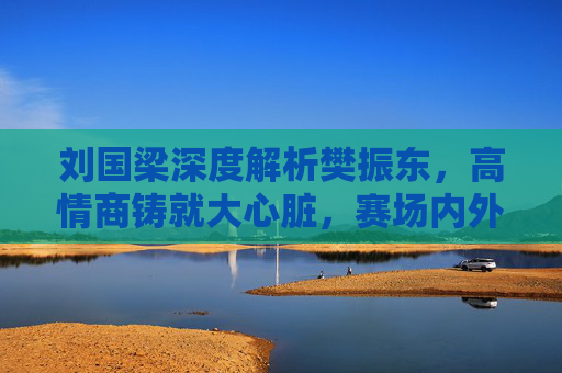 刘国梁深度解析樊振东，高情商铸就大心脏，赛场内外的定海神针，刘国梁深度解析，高情商铸就樊振东大心脏，赛场内外定海神针