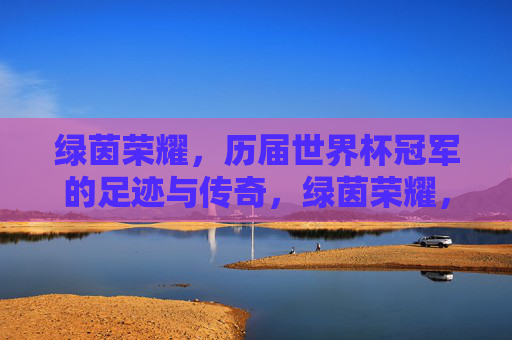 绿茵荣耀，历届世界杯冠军的足迹与传奇，绿茵荣耀，世界杯冠军的足迹与传奇