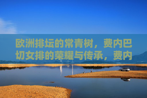 欧洲排坛的常青树，费内巴切女排的荣耀与传承，费内巴切女排，欧洲排坛常青树的荣耀传承