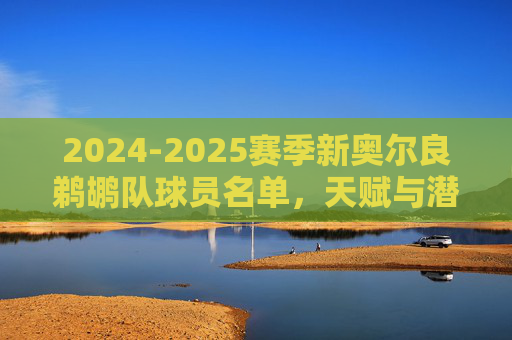 2024-2025赛季新奥尔良鹈鹕队球员名单,天赋与潜力交织的青年军,2024-2025赛季新奥尔良鹈鹕,天赋潜力交织的青年军
