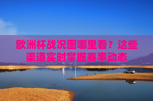 欧洲杯战况图哪里看?这些渠道实时掌握赛事动态