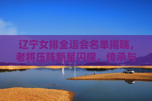 辽宁女排全运会名单揭晓，老将压阵新星闪耀，传承与冲击并存的辽排军团，辽宁女排全运会名单，老将压阵新星闪耀，传承冲击并存