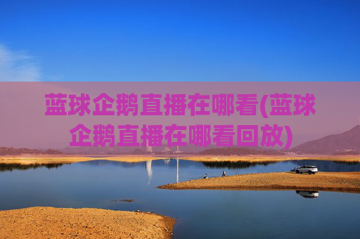 蓝球企鹅直播在哪看(蓝球企鹅直播在哪看回放)