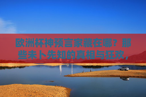 欧洲杯神预言家藏在哪?那些未卜先知的真相与狂欢,欧洲杯神预言家,藏在狂欢里的未卜先知